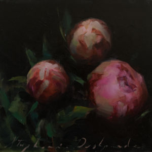 Paeonia