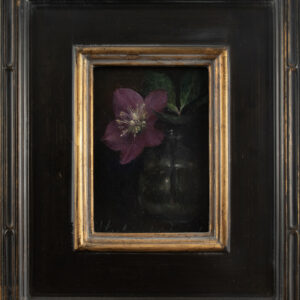 Hellebore