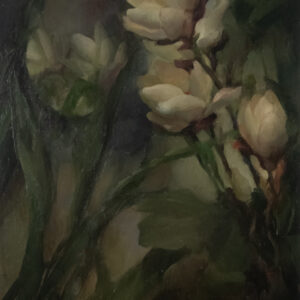 Magnolias at Dusk