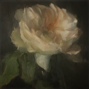 Single Rose